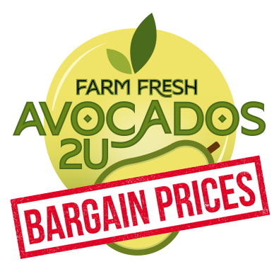 Small Hass Avocados by the pound